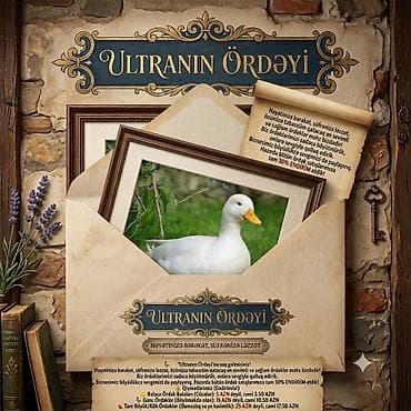 "Ultranın Ördəyi"nə xoş gəlmisiniz! 🦆✨ Həyətinizə bərəkət, süfrənizə