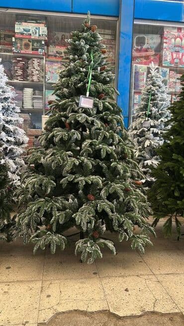 YENI IL YOLKALARI HƏR ÇÜR ÇEŞİDLƏR VAR kreditle tək şəxsiyyət