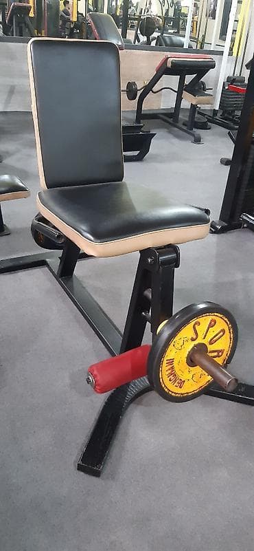 Leg Extension/Leg Curl trenajoru (oturaq tip) - Məqsəd: Ön bud — 1