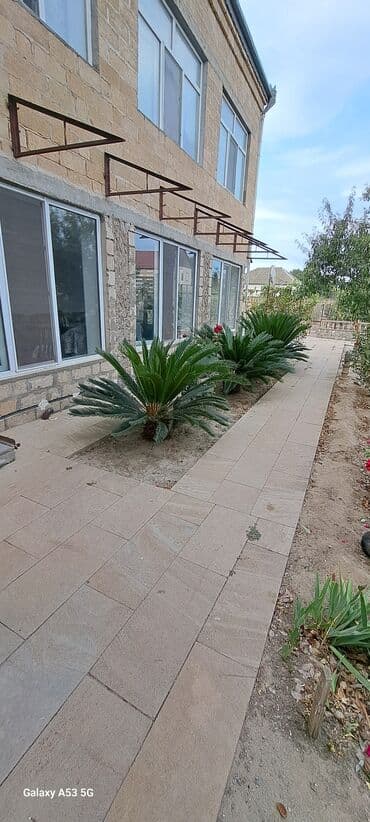 Lincoln: Sekas palmaları satılır . Həmişəyaşıldır . Mərdəkanda həyətimdədir . 3 — 3