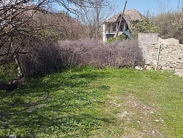 yeni guneşlide ucuz evler: Kənd təsərrüfatı — 5