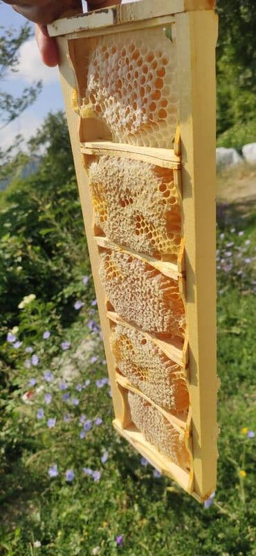 продается мед: ELF BEE'S 1977 ECO-PRODUCT FOR HEALTH AND LONGEVITY Tovuzun — 20