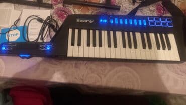 Musiqi mərkəzləri