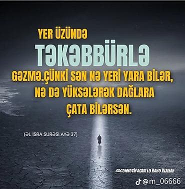 - Məhsul: Xalça (2 ədəd) 1) Xardal-sarı tonlarda klassik naxışlı — 3