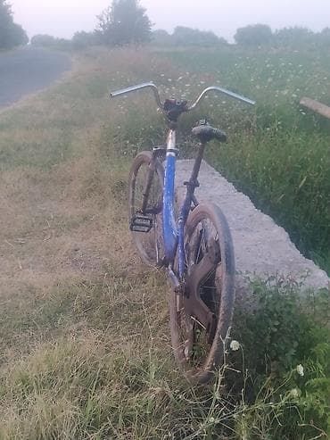 cube velo: Şəhər/ kənd gəzintiləri üçün sadə velosiped - Rəng: mavi gövdə, qara — 1