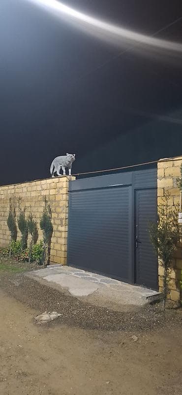 divar dekor: Fiqur — 7