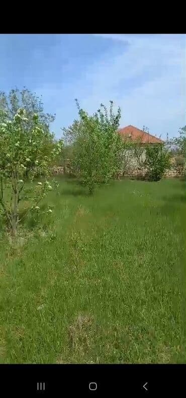 2 sot torpaq satilir: 8 sot, Kənd təsərrüfatı, Mülkiyyətçi, Bələdiyyə — 10