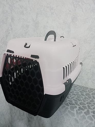 It ve pisik ucun dawima cantasi.almaniyadan getizdirmiwik bir defe