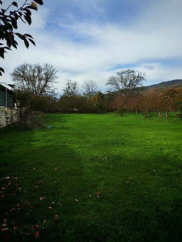 zaqatalada satilan evler: Kənd təsərrüfatı — 5