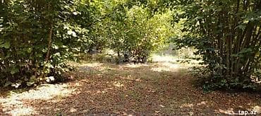 Otaqlar: Kənd təsərrüfatı — 2