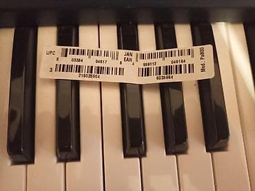 akustik gitara: Sintezator, Korg — 2