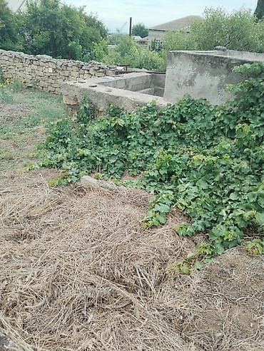 7 sot, Tikinti, Makler, Kupça (Çıxarış) — 5