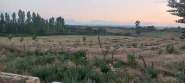 mağaza üçün yer icarəyə götürürəm: Ünvan: Qusar şəhəri Ləyər kəndi (ləzgi ləyər) 1hk 68 sot bağ yeri — 22