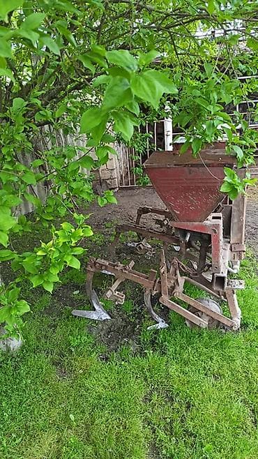 20 lik disk teker: Kutvasiya. Satılır silitira da sepir — 1