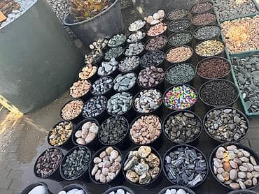 pul qutusu: Cay dawlari istediyniz cure buyurun sifariw ede bilersiniz — 9
