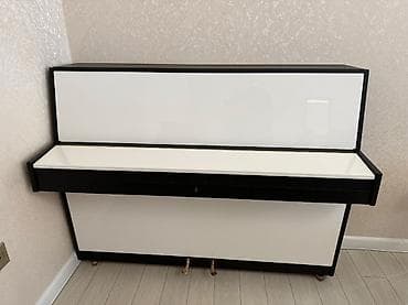 Qarmonlar: Piano, Rönisch, Akustik — 2