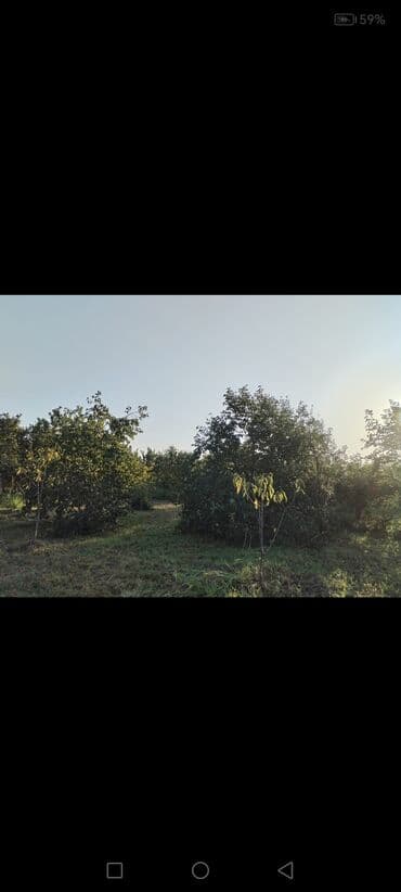 квартиры баку аренда: 24 sot, Kənd təsərrüfatı, Kupça (Çıxarış) — 4