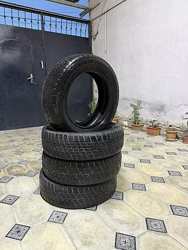 formula teker 07: 4 ədəd avtomobil şini - Tip: Qış şini (protektor naxışları sıx — 6
