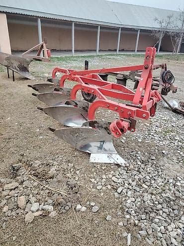 Təzə kotani az islənib