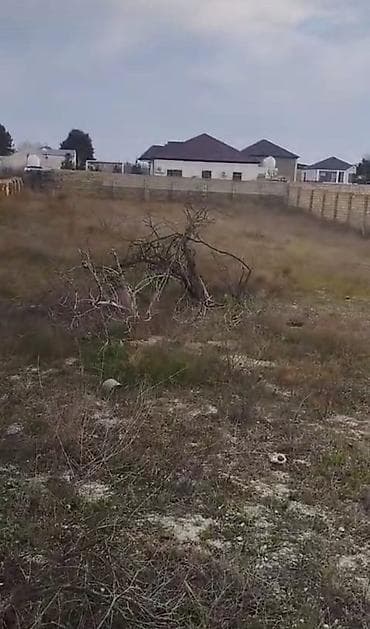 10 mine evler: Novxanida Murad marketin yani yoldan 300 metr mesafede 20 sot yarim — 1