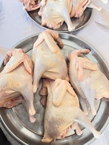 Məhsul: Təmizlənmiş bütöv cücələr (kəsilmiş, içi çıxarılmış) Təsvir