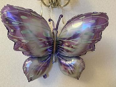 sam agaclari satisi: Новый воздушный шар Бабочка. Купили 2 штуки. Один остался — 2