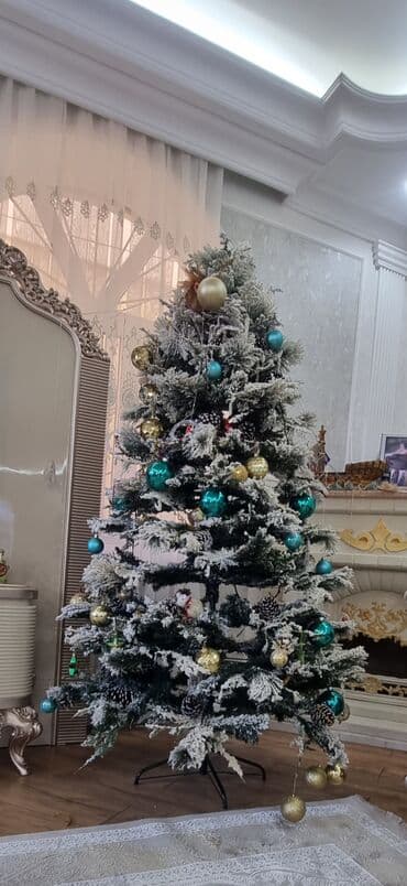 limon agaci: Yolka 2 metr hundurluk 350 manata alinib tecili 150m — 3