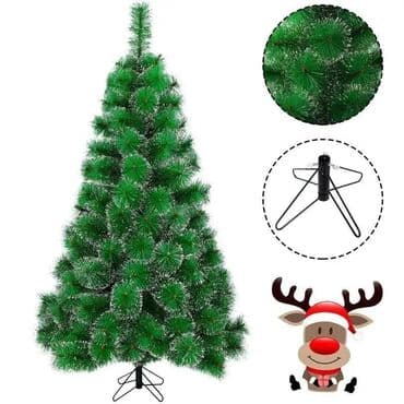 Yolka lalafo.az -da Yolka