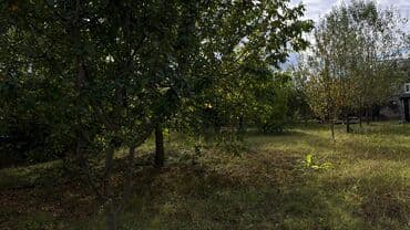 sumqayit corat heyet evleri: 15 sot, Tikinti, Makler, Kupça (Çıxarış) — 8