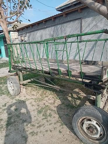 Cellabadadr real alci zeng edsin endirim olacaq - Traktor və ya at