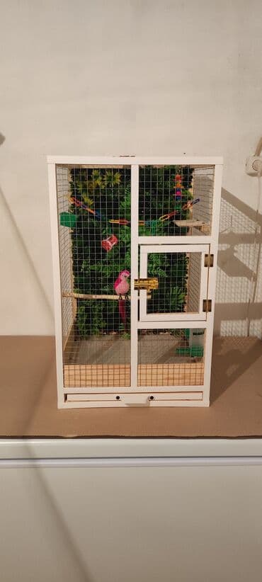 pişik üçün yuva: Papuqay,dovşan,hamster,şinşila,bildirçin,cücə,xamyak,pişik,quş,tısbağa — 1