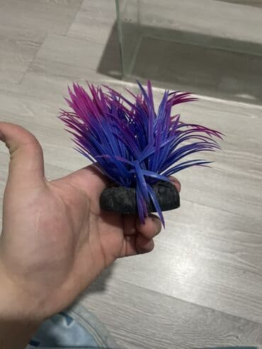 akvarium işıq: Dördbucaq akvarium, Boş, 20 l, Ünvandan götürmə — 10