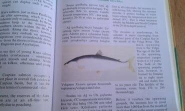 сколько стоит мотоцикл: Müxtəlif kitablar satılır. Biri 40 manat. "Nərəkimilər - dinozavrların — 17