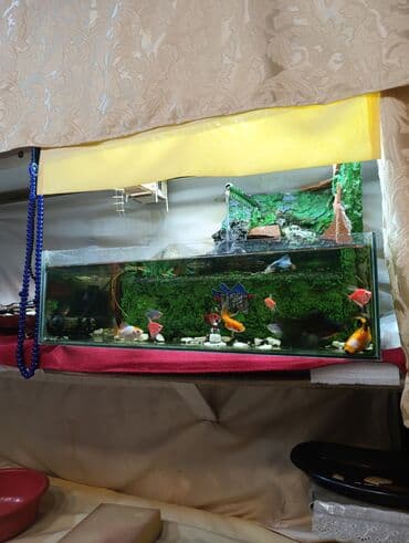 аквариум без рыб: Akvarium komplekti – dekorativ şəlaləli - Şüşə akvarium: uzunsov — 3