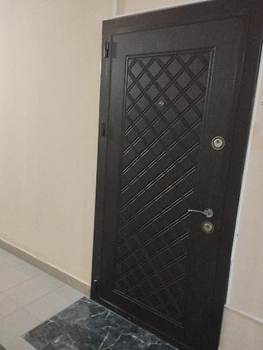 Santexnika: Dəmir giriş qapısı – ikiüzlü dizayn - Material: möhkəm metal — 2