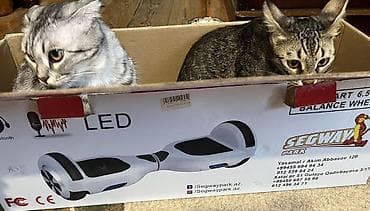 Özünətarazlı elektrik skuter (hoverboard) segway – kosmos temalı — 5