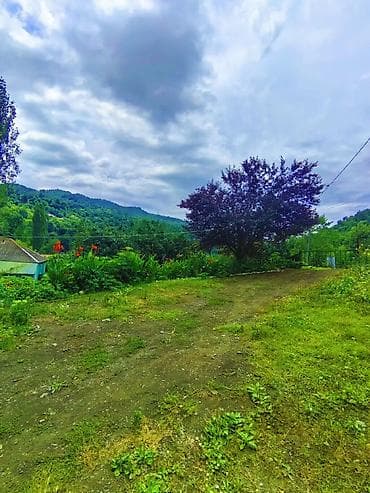 zaqatala ev satisi: 100 kv. m, 2 otaqlı, Qaz, İşıq, Su — 7