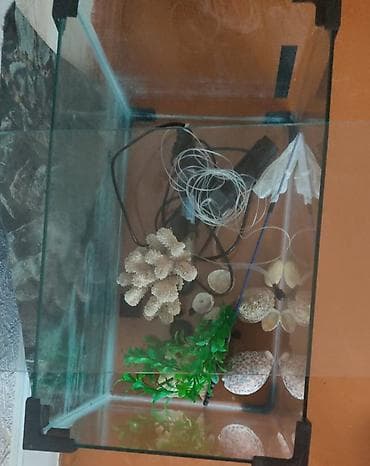 akvarum baliq: Akvaryum dəsti - Şüşə akvaryum, üst qapağı ilə - Künclərdə qoruyucu — 2