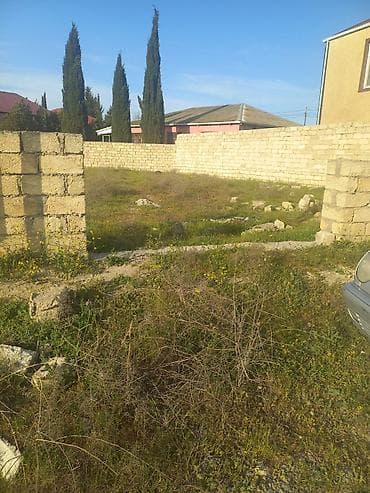 berde emlak: Tikinti, Maklerlər narahat etməsin, Bələdiyyə — 9