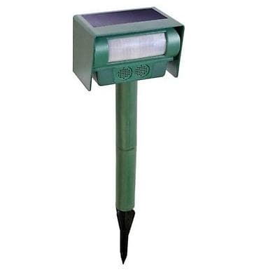 Yuvalar: Heyvan qovan İlan qovan Sumqayıt şəhəri 10 cu mkr Xəlifə şadlıq — 4