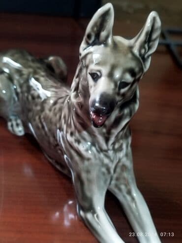 SSSR super vəziyyətə