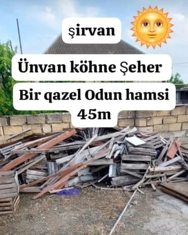 Саженцы растений: Odunlar müxtəlif ölçülü taxta parçalarından ibarətdir və müxtəlif — 1