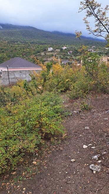 şabran torpaq: 10 соток, Купчая — 2