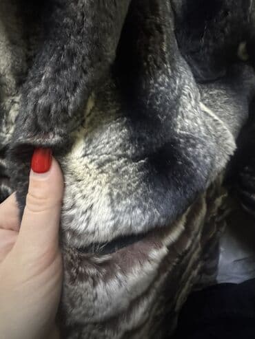 yun donlar instagram: Kürk, rəng - Gümüşü — 4