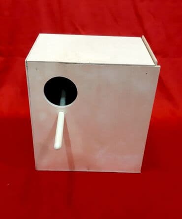 quw yuvasi: Karella yuvasi Karella yuvası Yuva + folluq 10 manat Uzunluq - 28sm — 3