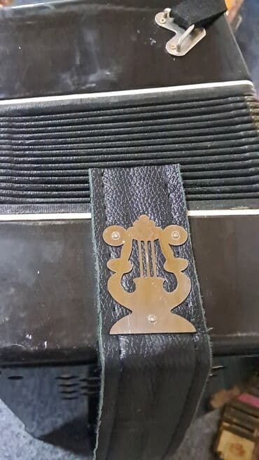 1 cent neçə manatdır: Akustik Akkordeon — 4