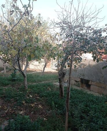 sumqayitda 1 otaqli kohne tikili evler: Lökbatan qəs. 5 otaqlı, 120 kv. m, Kredit yoxdur, Orta təmir — 6