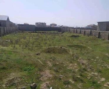 bilgəhdə torpaq: 24 sot, Tikinti, Makler, Kupça (Çıxarış) — 2