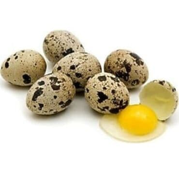 oglan usaqlari ucun tortlar: Bıldırcın yumurtası

20 QEPIK HEM MAYALI HEM QIDA UNVAN QARACUXUR — 1