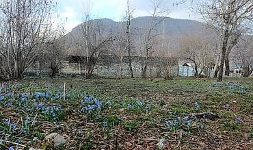 13 sot, Tikinti, Mülkiyyətçi, Kupça (Çıxarış)
